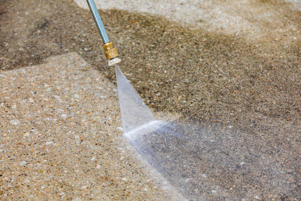 Best Animal Enclosure Cleaning  in Crownsville, MD